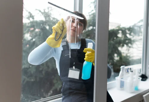 Nettoyage de vitres intérieures et extérieures à Lanty
